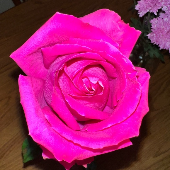 Meet your Posher, Dana - Picture 1 of 1